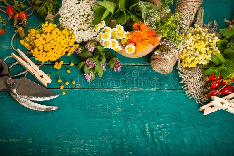 De zomer verse geneeskrachtige kruiden op de houten achtergrond stock afbeelding De zomer verse geneeskrachtige kruiden op de houten achtergrond stock afbeelding