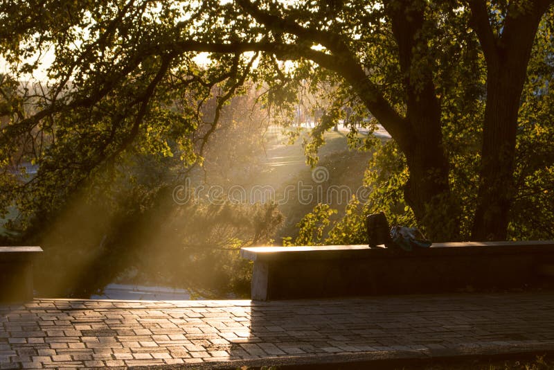 De zomer of vroeg de herfstpark bij zonsondergang royalty-vrije stock afbeelding De zomer of vroeg de herfstpark bij zonsondergang royalty-vrije stock afbeelding