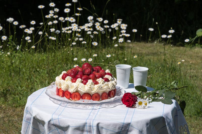 De zomercake met aardbeien in een tuin stock foto's De zomercake met aardbeien in een tuin stock foto's