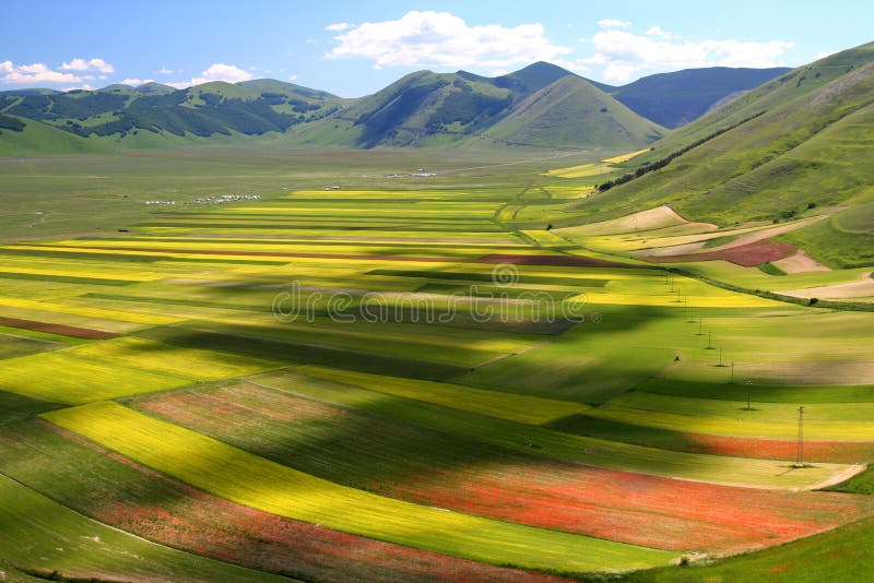 De zomerlandschap van Castelluccio royalty-vrije stock foto's De zomerlandschap van Castelluccio royalty-vrije stock foto's
