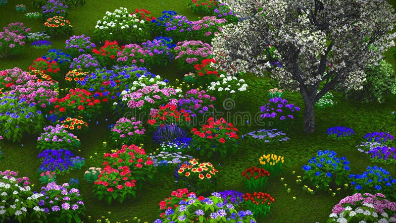 De zomerwildflowers bij weide het 3d teruggeven royalty-vrije stock foto De zomerwildflowers bij weide het 3d teruggeven royalty-vrije stock foto