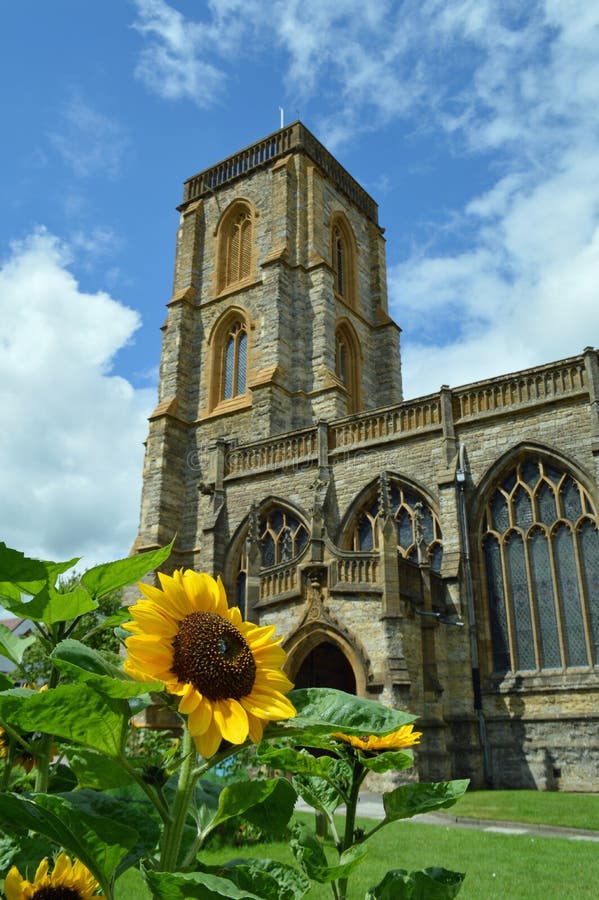 De zomerzonnebloemen buiten een traditionele Engelse kerk stock foto's De zomerzonnebloemen buiten een traditionele Engelse kerk stock foto's