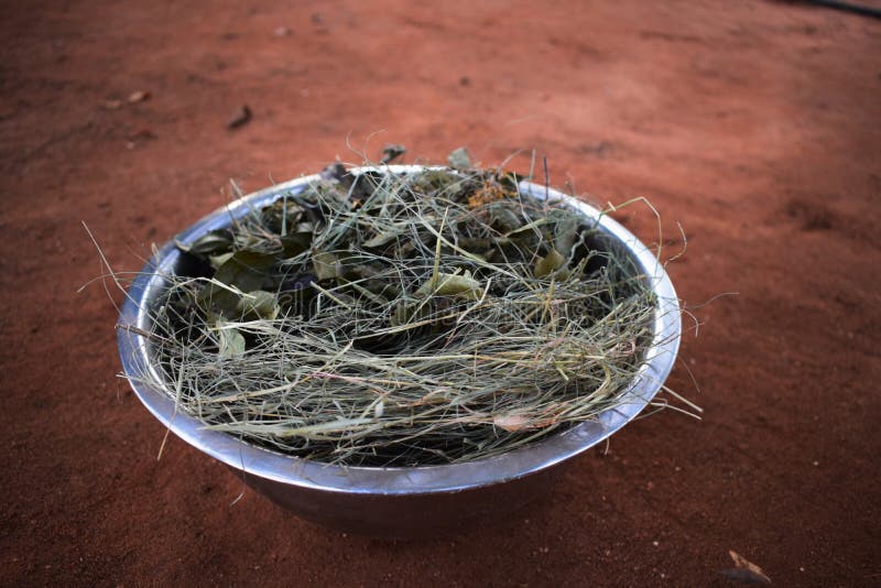 In de zon gedroogde kruiden op grond Ayurvedic DIY stock afbeelding In de zon gedroogde kruiden op grond Ayurvedic DIY stock afbeelding