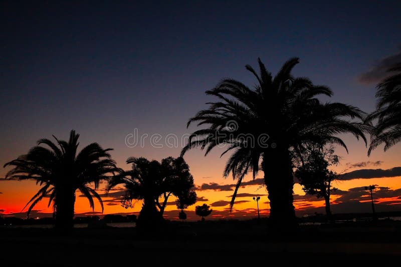 De zonsondergang tropische palmen van het paradijsstrand stock afbeeldingen De zonsondergang tropische palmen van het paradijsstrand stock afbeeldingen