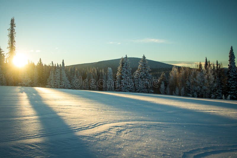 De zonsopgang over sneeuwgebieden, Konijnoren gaat, de Stoombootlentes, Colorado over royalty-vrije stock foto De zonsopgang over sneeuwgebieden, Konijnoren gaat, de Stoombootlentes, Colorado over royalty-vrije stock foto