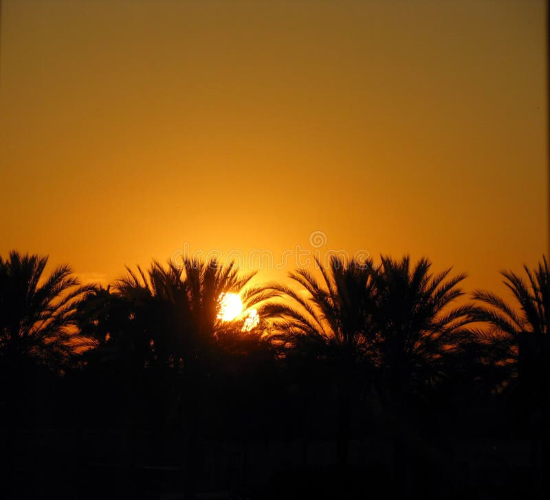 De Zonsopgang van Californië stock foto De Zonsopgang van Californië stock foto