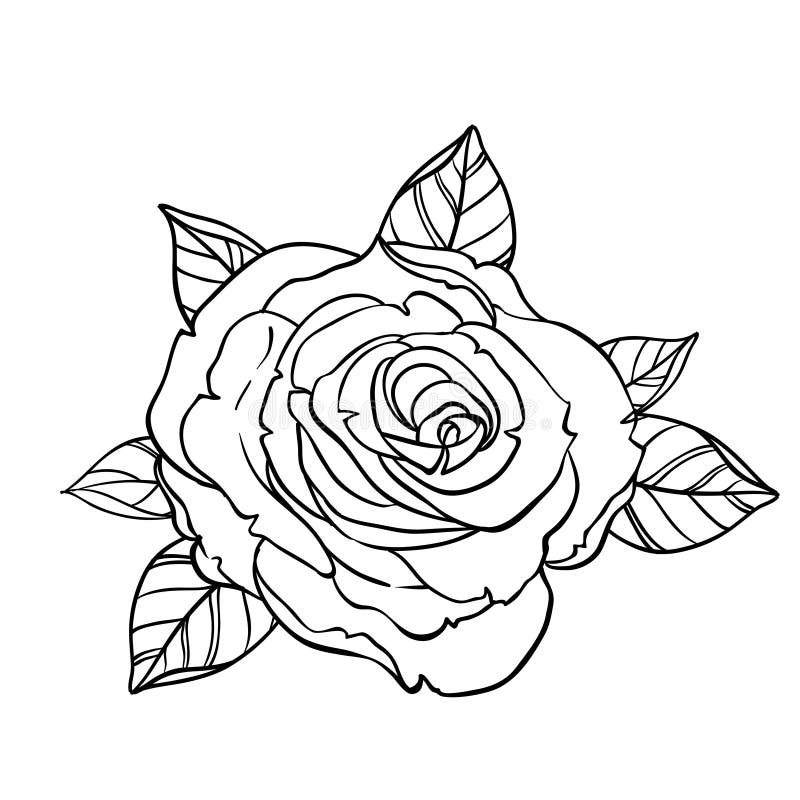 De zwart-witte die rozen van de tatoegeringsstijl met bladeren op wit worden geïsoleerd royalty-vrije illustratie De zwart-witte die rozen van de tatoegeringsstijl met bladeren op wit worden geïsoleerd royalty-vrije illustratie