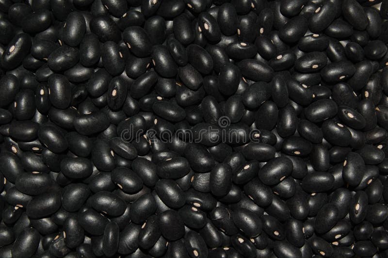 Achtergrond van Zwarte Bonen royalty-vrije stock foto's