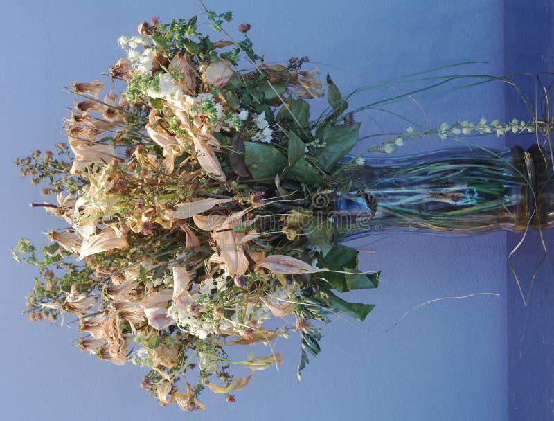 Dead Bouquet Stock Photo Image 20261200