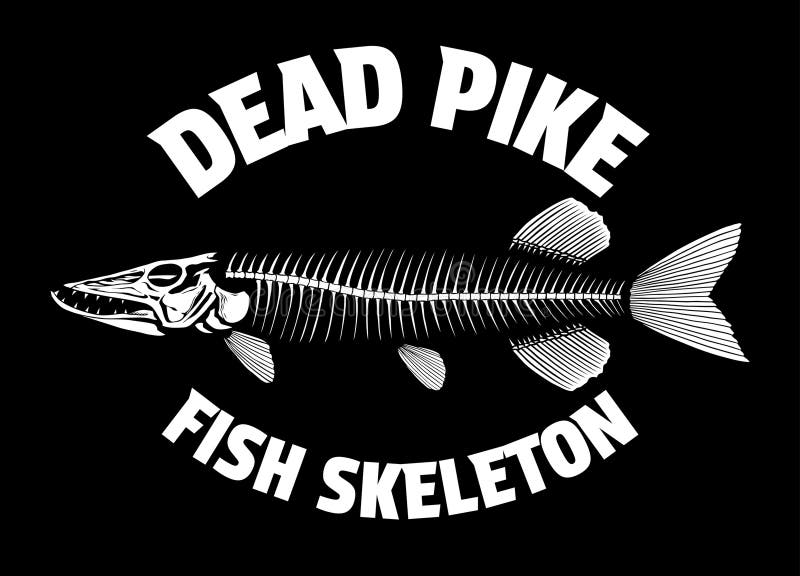 Dead Pike Fish Skeleton Illustration Concept stock illustration