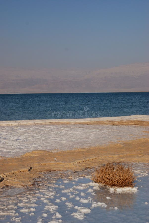 Dead sea