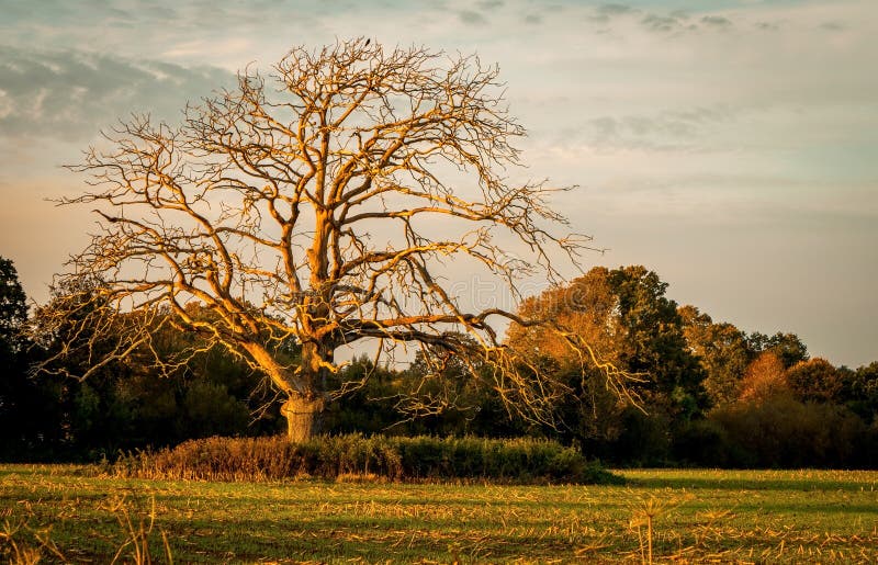 Golden hour over upstate New York - Sunsets & Nature Background