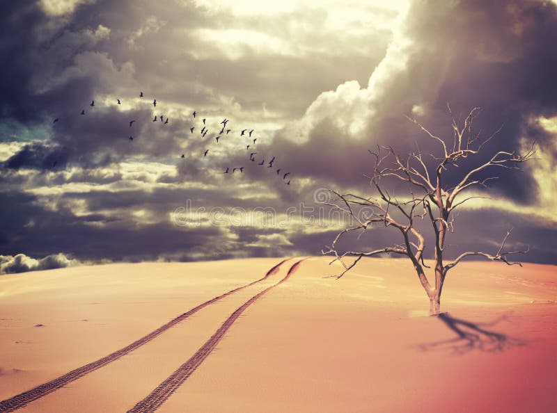 Dead tree and vehicle tracks in surreal desert landscape