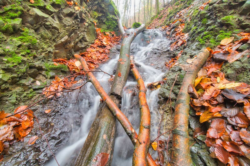 Dead wood in small waterfall in creek in Turovska roklina gorge during autumn in Kremnicke vrchy mountains