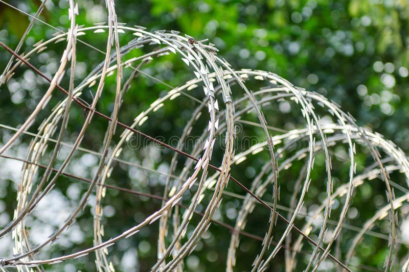 Deadly razor wire security barrier