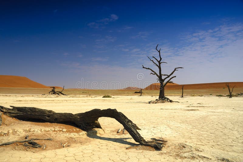 Deadvlei (deserto de Namib)