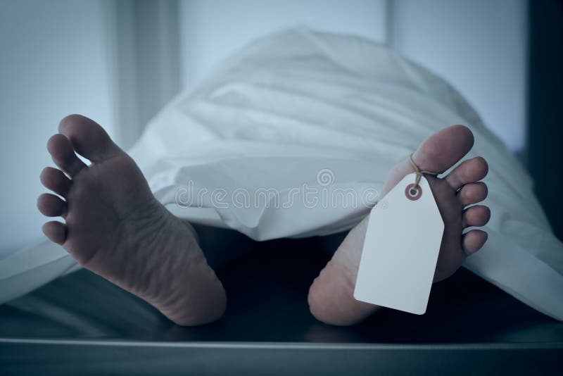Death and Taxes royalty free stock image Death and Taxes royalty free stock image