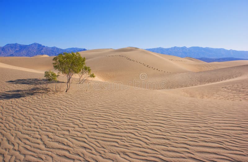 Death Valley