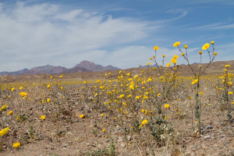 Death Valley stock photo. Image of california, death 70469844