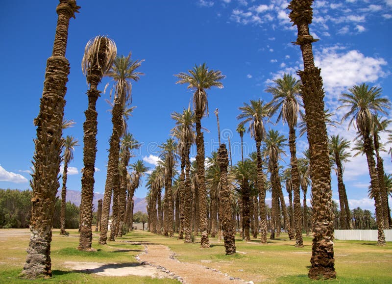 Death Valley Furnace Creek