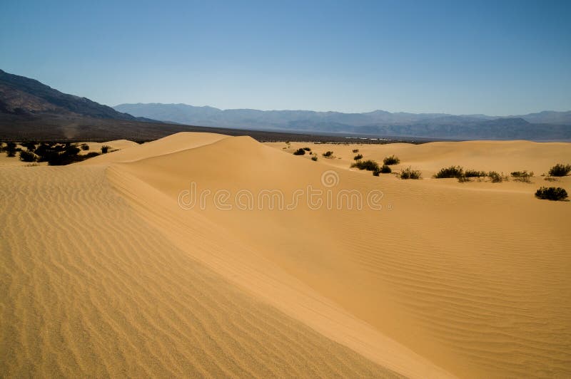 Death Valley för landskap för sanddyn nationalpark royaltyfri fotografi Death Valley för landskap för sanddyn nationalpark royaltyfri fotografi