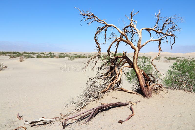 Death Valley stock images Death Valley stock images
