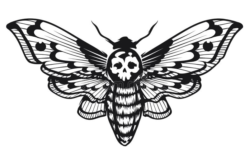 Tattoo uploaded by satanischepferde  Deaths head hawk moth tattoo by  satanischepferde erfurt moth mothtattoo traditional insect knee dark  darkart skull small blackwork blackandgrey boldlines  Tattoodo