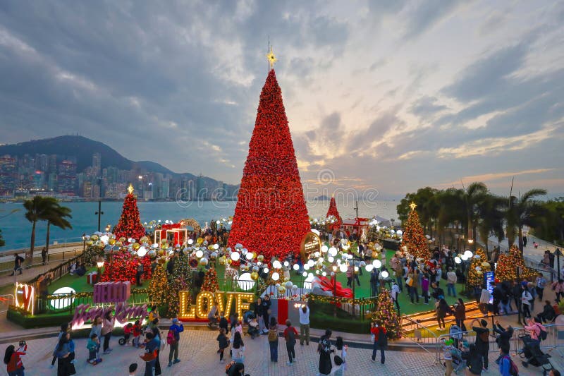 Giant Christmas Tree in West Kowloon Cultural District Dec 29 2023 Editorial Photography Image
