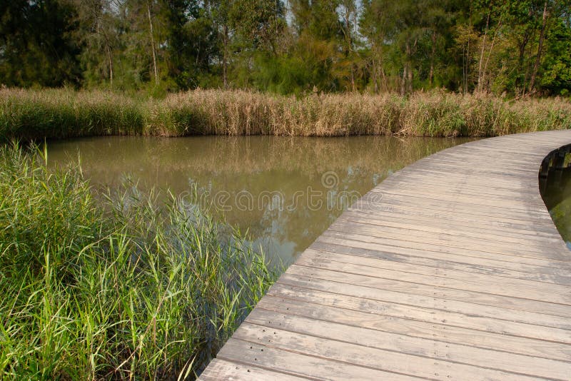 23 Dec 2006 the Wood Path at Hong Kong Wetland Park Stock Image Image