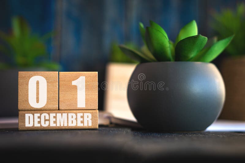 december 1st. Day 1 of month,  Cube calendar with date and pot with succulent placed on table at home Simple calendar. winter