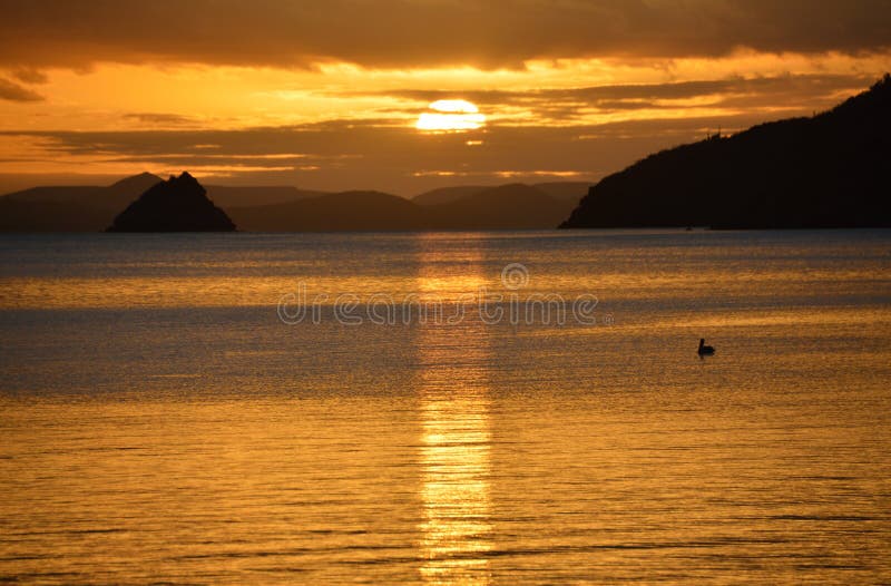 December Sunrise with Pelican in Bahia Concepcion, Baja California, Mexico stock image December Sunrise with Pelican in Bahia Concepcion, Baja California, Mexico stock image