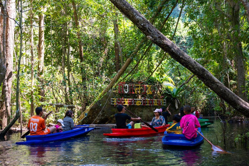 22 December 2018-Thailand:: loppmangroveskog med roddbåten royaltyfri bild 22 December 2018-Thailand:: loppmangroveskog med roddbåten royaltyfri bild