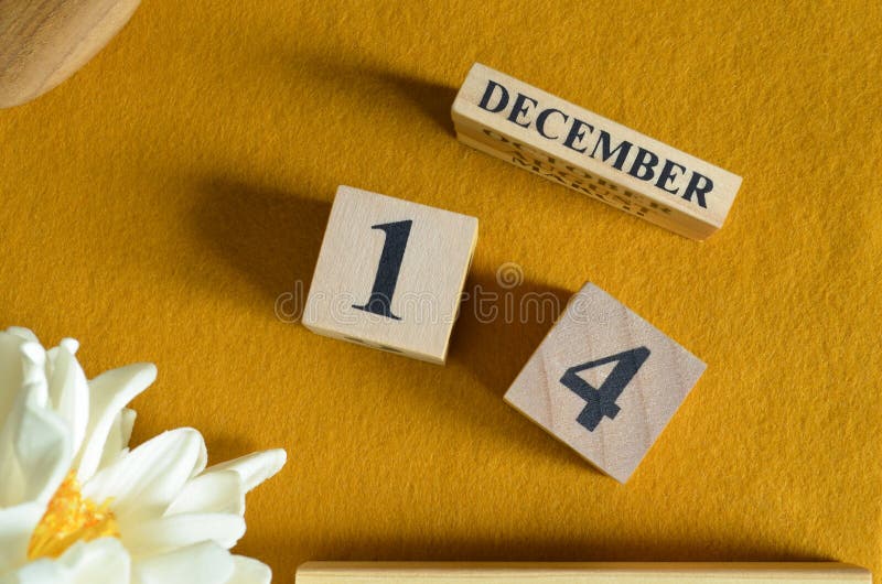 December 14, Wooden Calendar cube with yellow felt fabric with peony flower for date icon background. royalty free stock images
