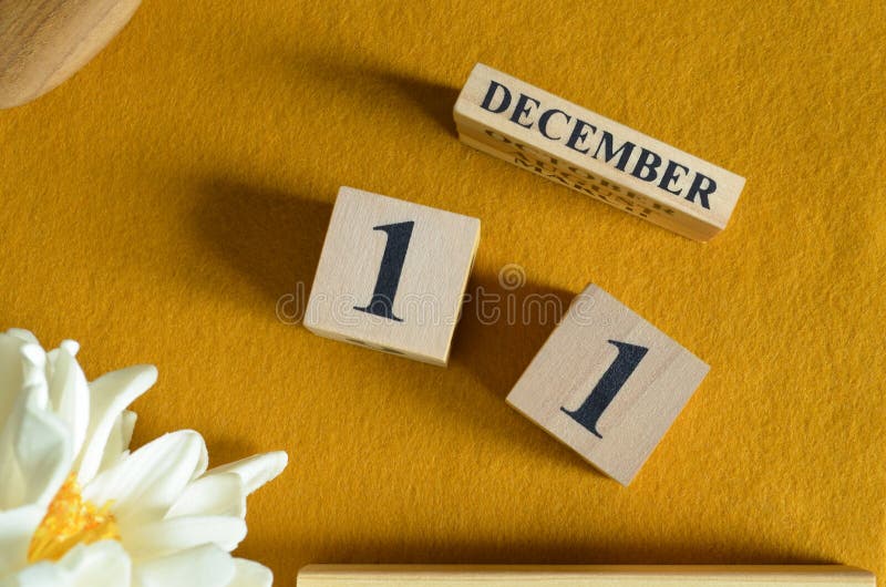 December 11, Wooden Calendar cube with yellow felt fabric with peony flower for date icon background. royalty free stock photo