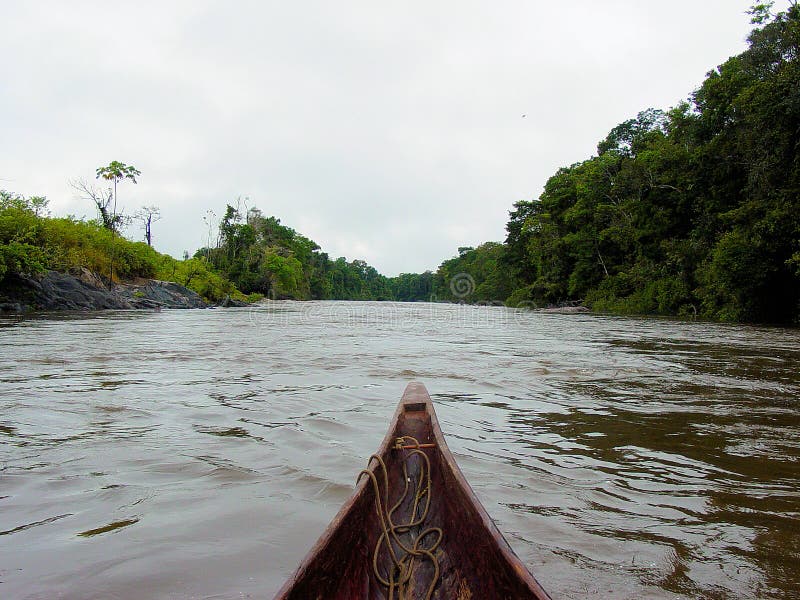 Decending Beautiful River in the Amazon Forest in a Dugout Canoe Stock