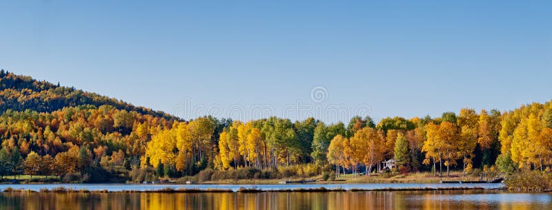 Deciduous forest reflection in an lake