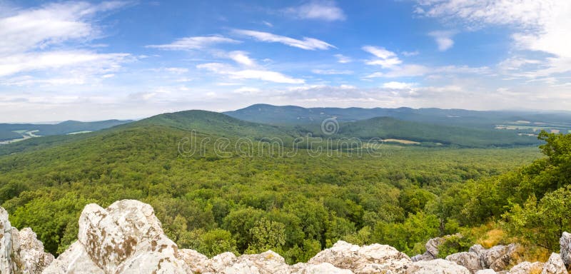 Deciduous forests panoramic view