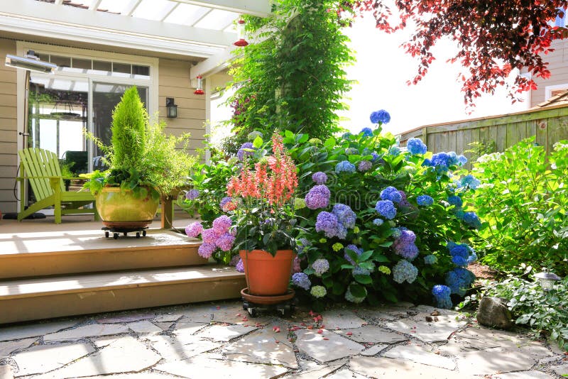 Deck with Beautiful Flowers in Pots Stock Image Image of door, pots