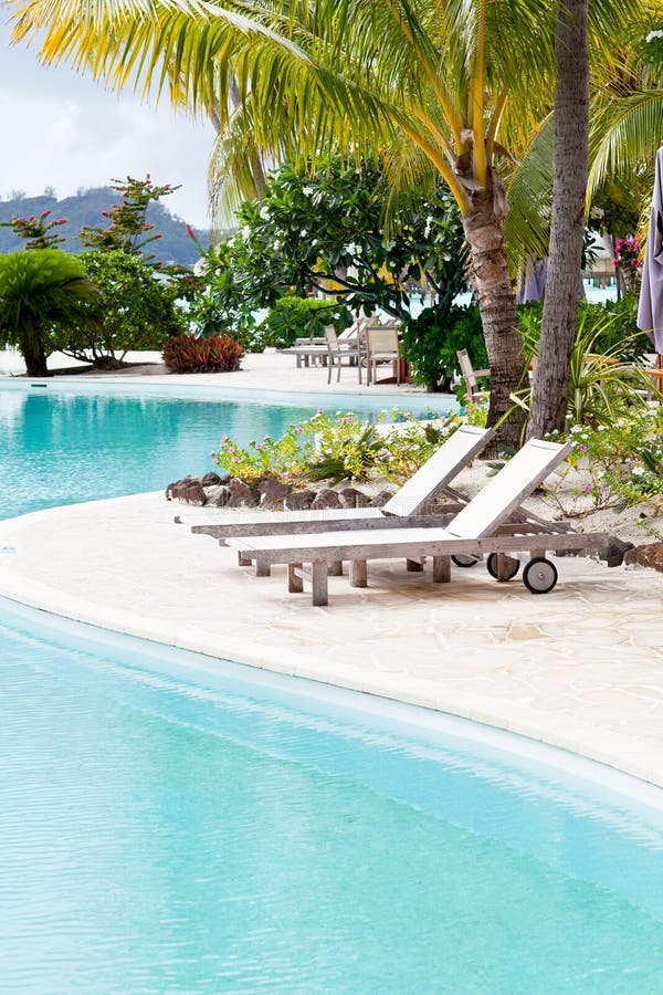 Deck chairs by the pool