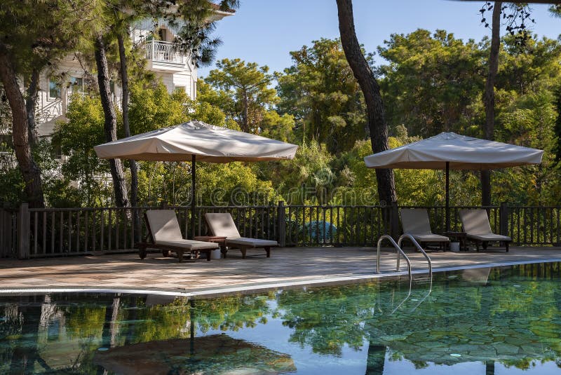 Deckchairs with parasols surrounded with trees arranged at poolside in resort stock photos