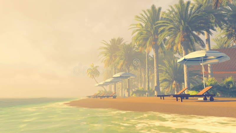 Deckchairs und Sonnenschirme auf einem tropischen Strand bei Sonnenuntergang