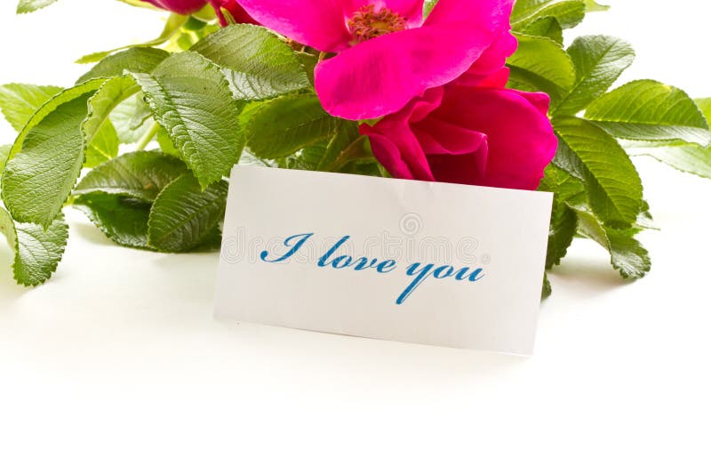 Declaration of love stock photo. Image of bloom, bouquet - 21049366