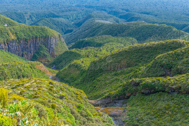 Declive verde do monte taranaki, na nova zelândia