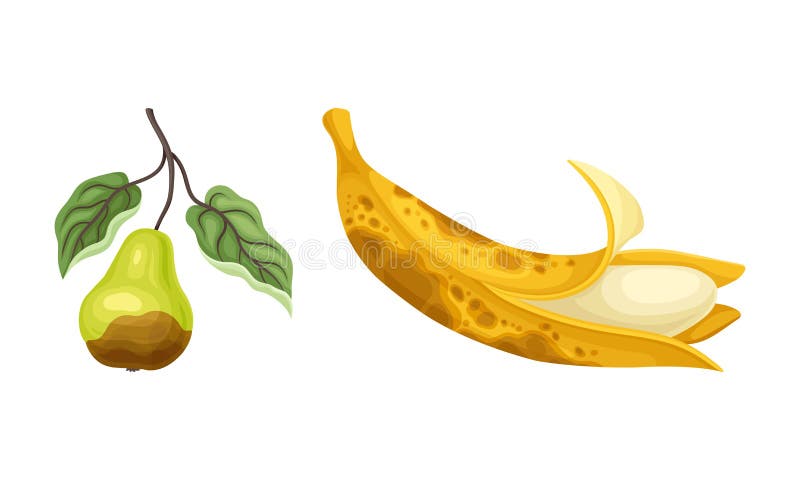 Rotten Banana Stock Illustrations – 319 Rotten Banana Stock Illustrations, Vectors & Clipart - Dreamstime Rotten Banana Stock Illustrations – 319 Rotten Banana Stock Illustrations, Vectors & Clipart - Dreamstime