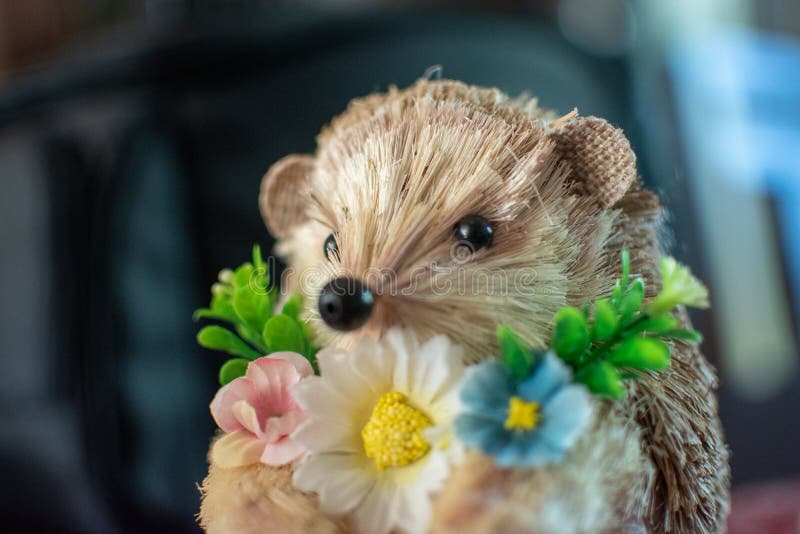 Hedgehog with flowers stock photo. Image of gift, flowers 94732712
