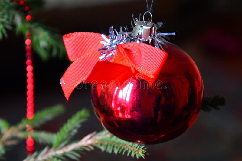 Decoração De árvores De Natal Para O Ano Novo. Uma Bola De Vidro Vermelha  Em Uma Corda Pendura Em Um Galho Da árvore De Natal. Foto de Stock - Imagem  de interior,