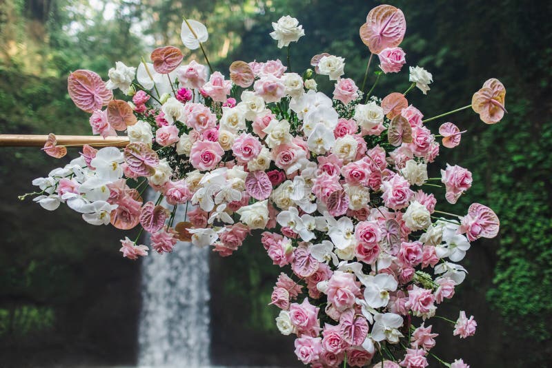 Decoração Do Arco De Casamento Das Orquídeas Cor-de-rosa, Rosas E Flores De  Antrúcio Foto de Stock - Imagem de fresco, botânica: 159782768