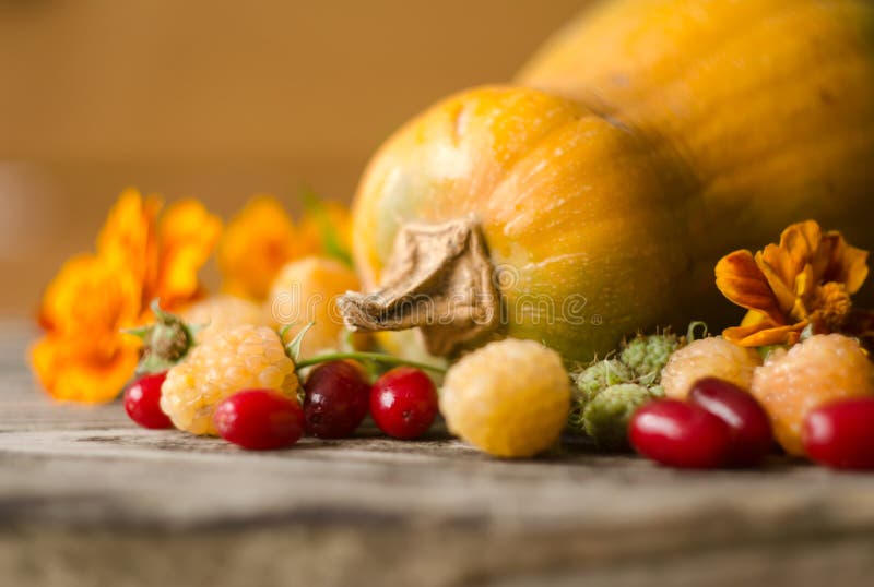 Colorful autumn decoration of pumpkins, yellow raspberries, dogwood and marigold. Thanksgiving day autumnal still life. Autumn nature harvest decoration. Colorful autumn decoration of pumpkins, yellow raspberries, dogwood and marigold. Thanksgiving day autumnal still life. Autumn nature harvest decoration.