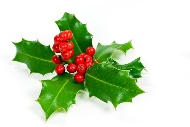Decoración de la Navidad con las hojas y las bayas del acebo foto de archivo libre de regalías Decoración de la Navidad con las hojas y las bayas del acebo foto de archivo libre de regalías