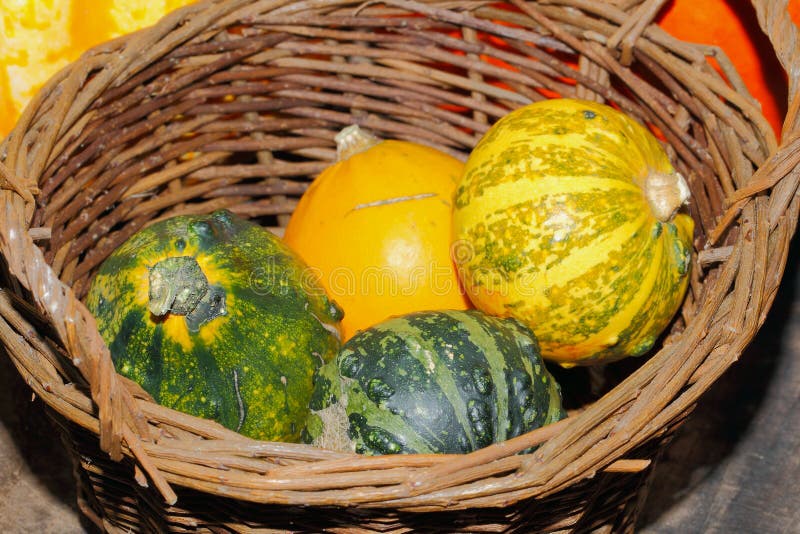 Decoración del otoño, calabaza, calabaza imágenes de archivo libres de regalías Decoración del otoño, calabaza, calabaza imágenes de archivo libres de regalías